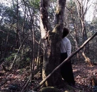 corpses-of-the-japanese-suicide-forest-4-1985525744.webp