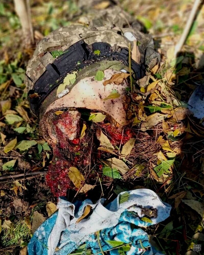 DH - Sldiers' Horror Faces and Bodies of Russia-Ukraine Conflict 3.jpg
