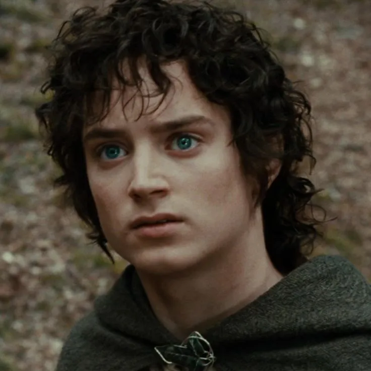 Frodo Baggins Icon ♡.webp