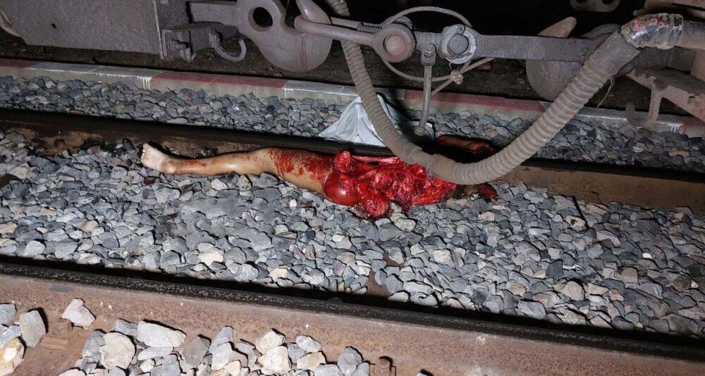 herdeaths-27-year-old-woman-dismembered-by-train-94t34-1-1024x546.jpg