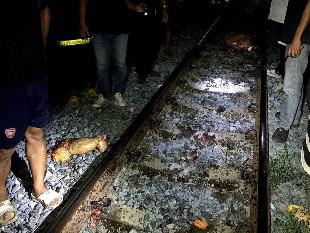 herdeaths-Thai-woman-was-torn-to-pieces-by-train-y42tgfw-10.jpg