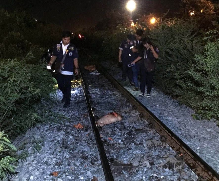 herdeaths-Thai-woman-was-torn-to-pieces-by-train-y42tgfw-11.jpg