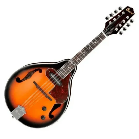 mandolinaibanez.webp