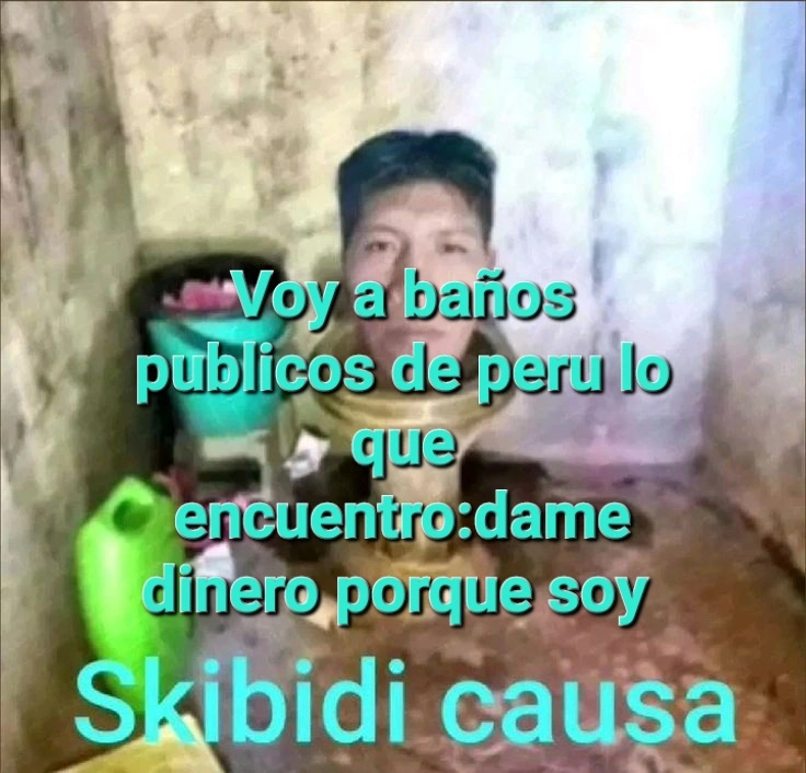 skibidi causa.webp