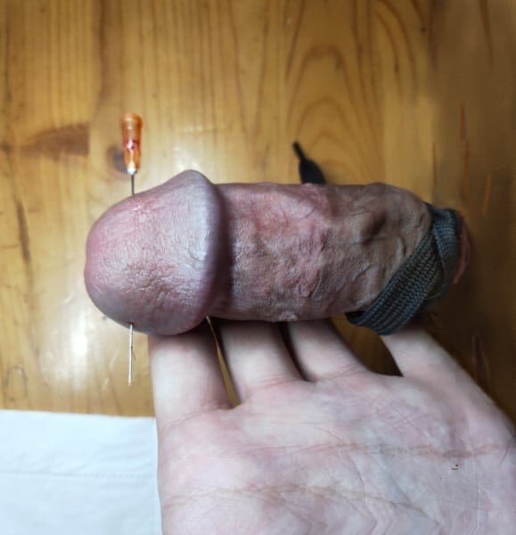 xgore-penises-that-have-been-cut-off-d321rt-7.jpg