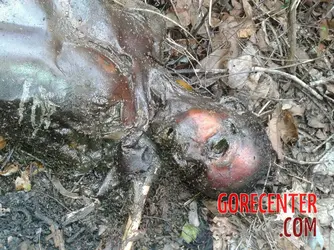 Corpse-of-a-Brazilian-woman-in-the-stage-of-decomposition-2.webp