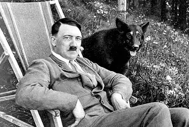 hitler-perro-511.webp