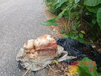 Dismembered-remains-of-young-woman-found-plastic-bag-by-roadside-4.webp