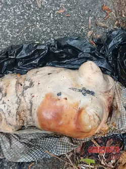 Dismembered-remains-of-young-woman-found-plastic-bag-by-roadside-5.webp