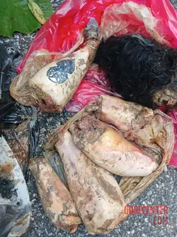 Dismembered-remains-of-young-woman-found-plastic-bag-by-roadside-6.webp