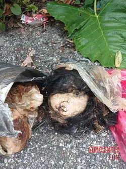 Dismembered-remains-of-young-woman-found-plastic-bag-by-roadside-7.webp