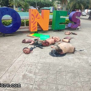 dismembered-body-parts-dumped-at-town-square-by-mexican-cartel-1-1024x768.jpg