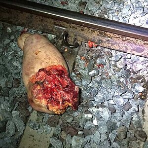 herdeaths-Thai-woman-was-torn-to-pieces-by-train-y42tgfw-5.jpg