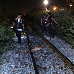 herdeaths-Thai-woman-was-torn-to-pieces-by-train-y42tgfw-11.jpg