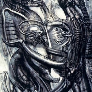 H.R._Giger-Hr_giger_biomechanicallandscape_-_005_.jpg