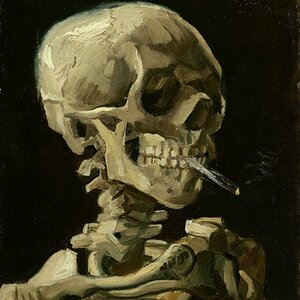 Vincent_van_Gogh_-_Head_of_a_skeleton_with_a_burning_cigarette_-_Google_Art_Project.jpg