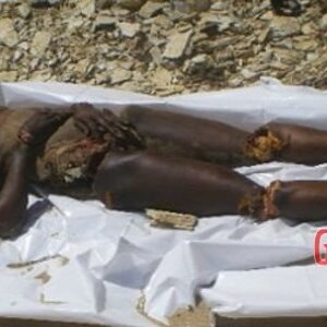 African-woman-dismembered-into-pieces-2.jpg