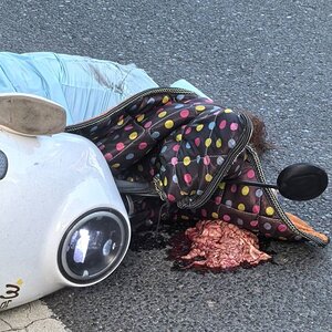 herdeaths-Chinese-womans-head-crushed-by-truck-fesdt3f.jpg