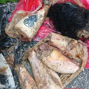 Dismembered-woman-found-dumped-by-roadside-1.webp