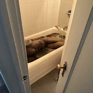 Woman-was-found-decomposed-in-bathtub-768x1024.webp