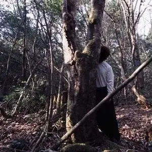 corpses-of-the-japanese-suicide-forest-4-1985525744.webp