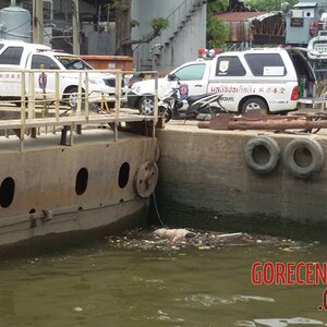 Drowned-and-bloated-Thai-woman-5.jpg