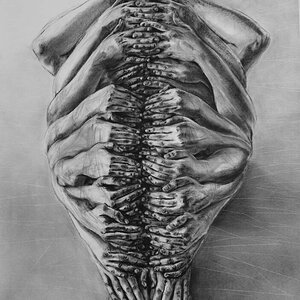 Cocoon - Charcoal.jpg