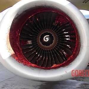 Aircraft-mechanic-sucked-into-jet-engine-4.jpg