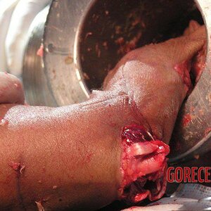 Hand-vs.-meat-grinder-11.jpg