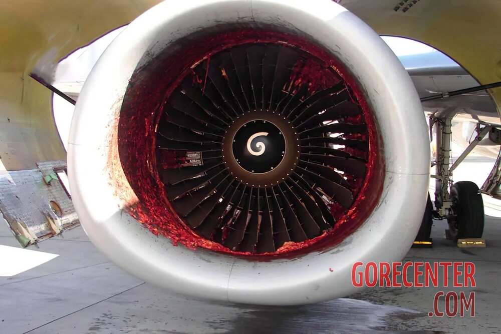 Aircraft-mechanic-sucked-into-jet-engine-4.jpg