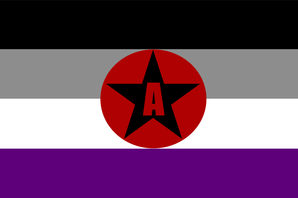 bandera asexual.png