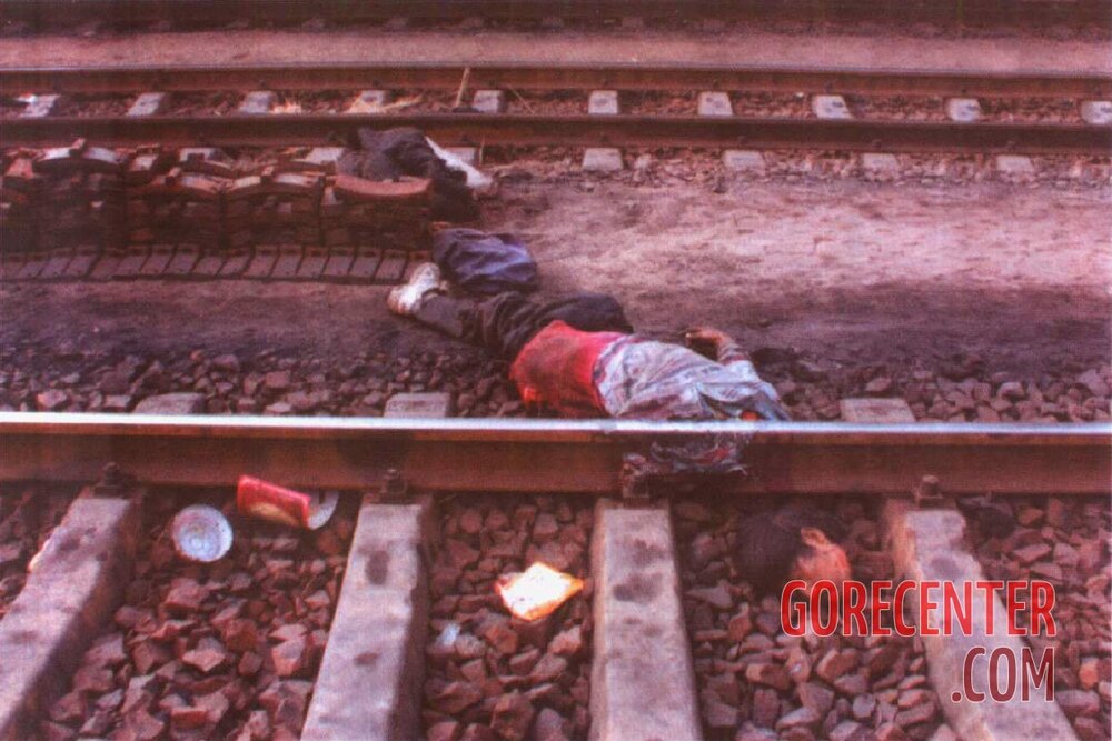 MIX-Deaths-on-Chinese-railways-4.jpg