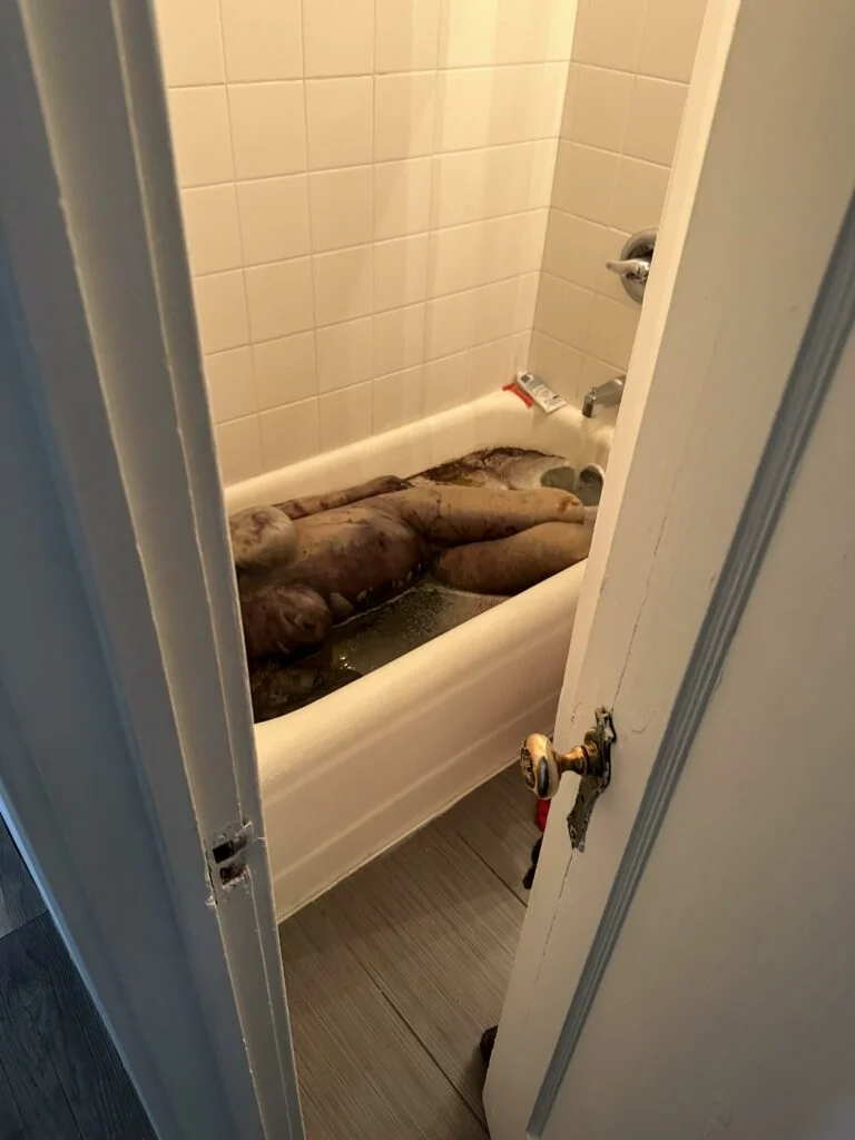 Woman-was-found-decomposed-in-bathtub-768x1024.webp