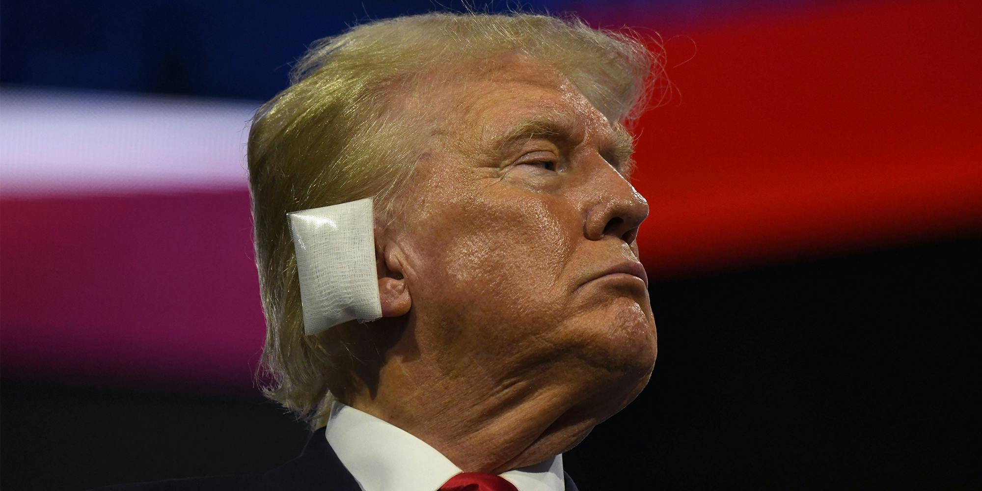 trump-ear-pillow-DO-NOT-REUSE.jpg